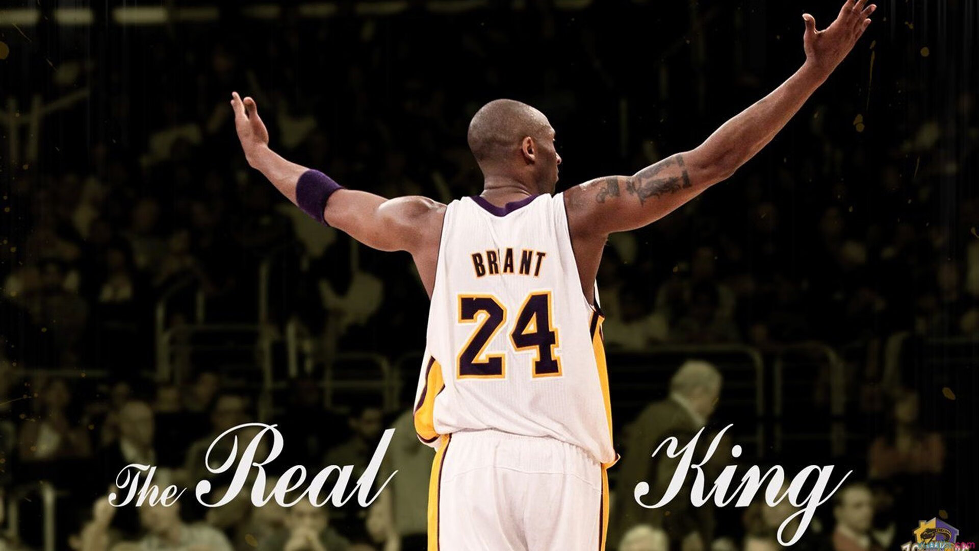 史上最年轻的“冠军射手”亮相，未来走向巅峰，最年轻的世界冠军是谁